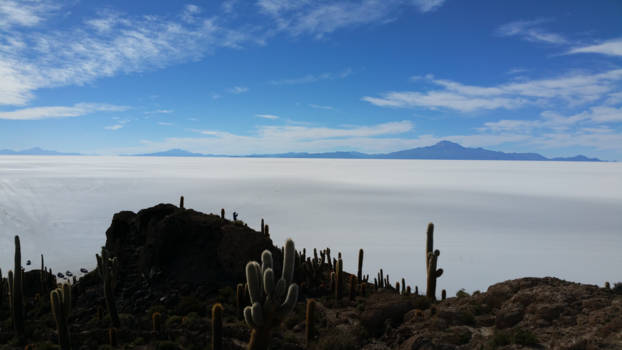 Bolivia - Incahuasi island