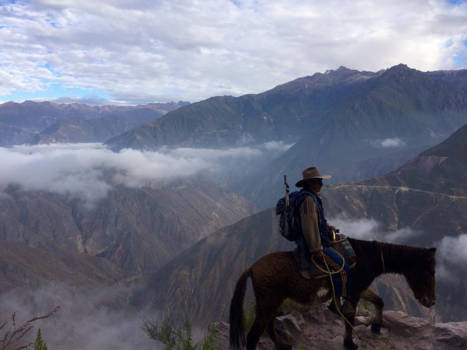 Colca Canyon - Colca Canyon in the early morning