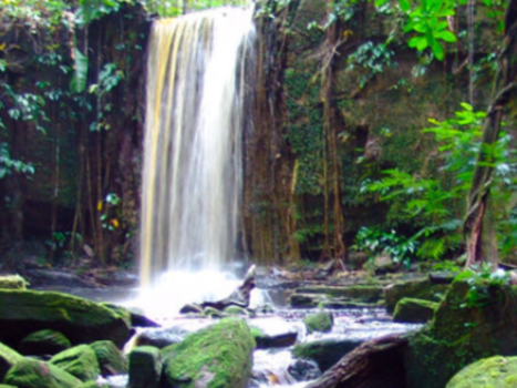 Paramaribo - Suriname