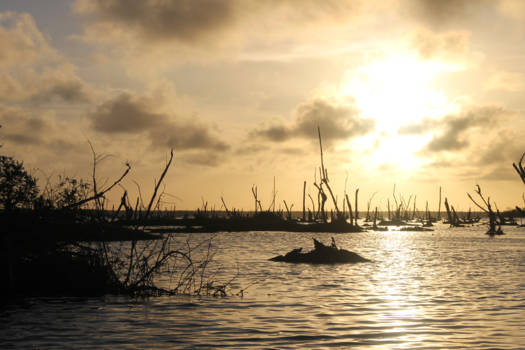 Bigi Pan - Bronze views