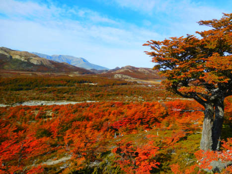 El Chaltén - On the other side of mountain Fitz Roy