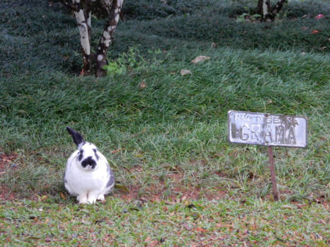 Rio de Janeiro - 'Verboden het gras te betreden'