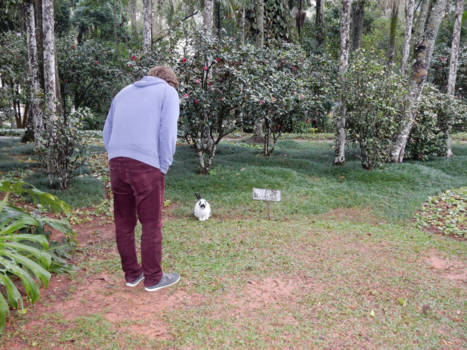Rio de Janeiro - 'Verboden het gras te betreden' uitgezoomd