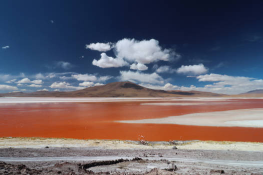 Laguna Colorada - Surrealistisch landschap in Bolivia
