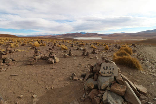 Laguna Colorada - Laguna Morejon