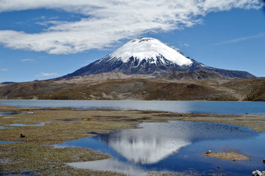 Chili - Parinacota vulkaan