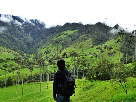 Colombia - I am now walking......into the wild.
