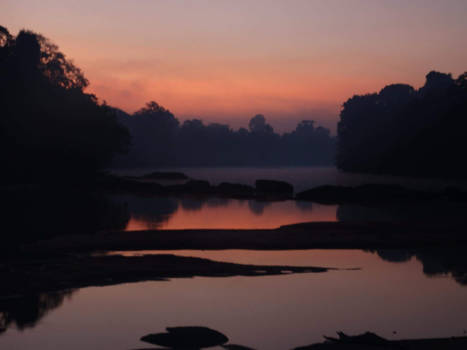 Boven Suriname - Goedemorgen in de Amazone