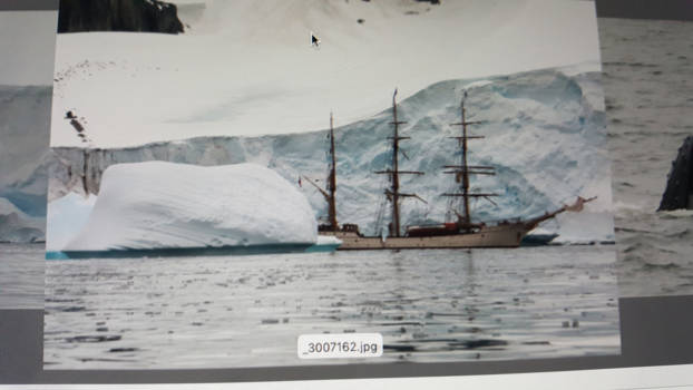 Antarctica - Bark Europa in ijs