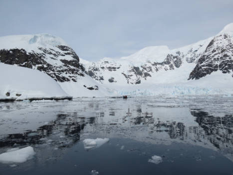 Antarctica - Paradise Bay