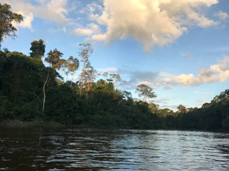 Suriname - De avond valt in Sipaliwini