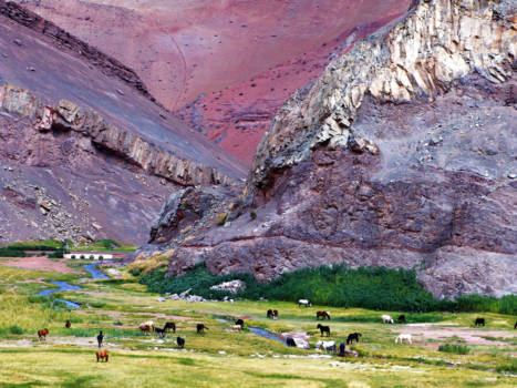 Chili - Wilde paarden en bijna buitenaardse kleuren in het mijnlandschap rond Copiapó, Chili