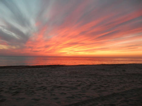 Brasilia - De mooiste zie je Callantsoog