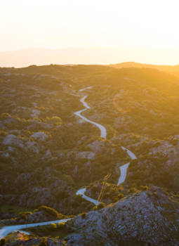 Torres del Paine - Sunset road