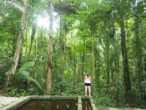 Suriname - Jungle Suriname