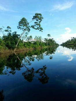 Nickerie - De lokale bevolking kent de mooiste plekken