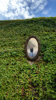 Amazonegebied - Climb every mountain