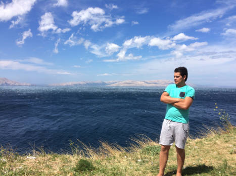 Brazilië - Kroatië op z'n best