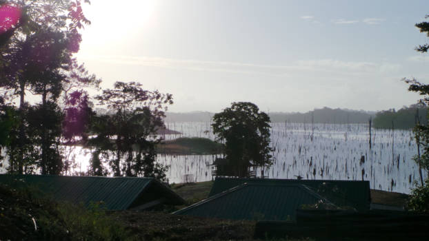 Brokopondo stuwmeer - Brokopondomeer vanaf Ston Island