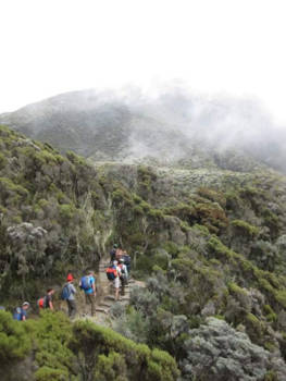 Peru - Hiking in the clouds