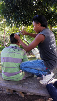 Venezuela - Jungle haircut