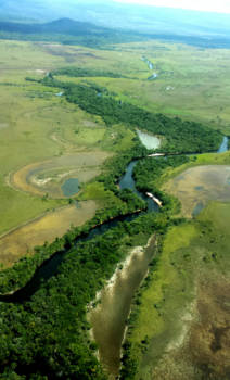 Venezuela - Canaima from a small airplane