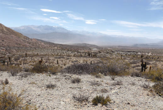 Argentinië - Los Cardones National Park