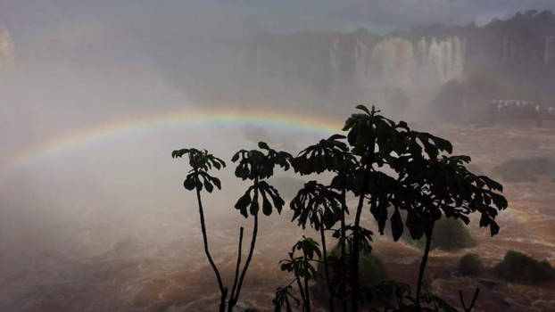 Brazilië - The wonderfalls