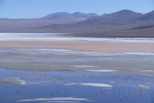 Salar de Uyuni - Let's stand all together