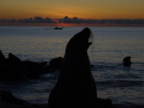 Galápagos eilanden - Sunset at San Cristobal
