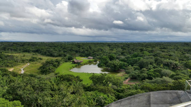 Bolivia - Uitzicht over Guembé park Santa Cruz Bolivia.