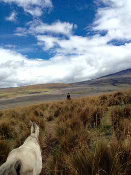 Cotopaxi National Park - Alleen op de vulkaan...