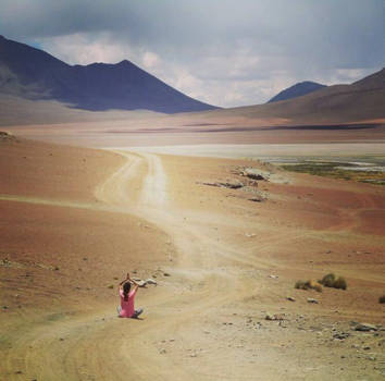 Bolivia - Don't follow the path, blaze a trail