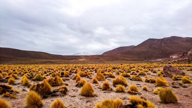 Bolivia - landscape uyuni tour