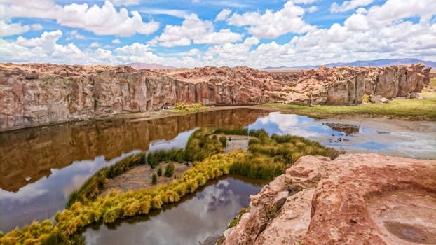Bolivia - lama valley