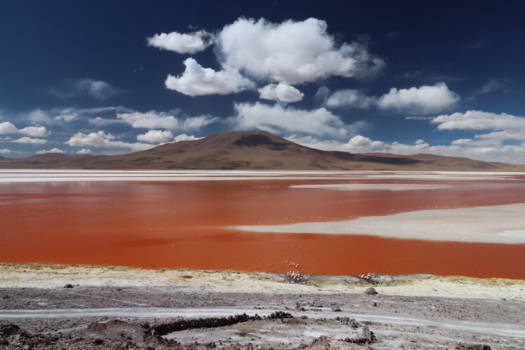 Laguna Colorada - Surrealistisch toch?