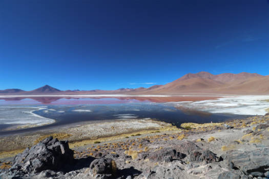 Laguna Colorada - De Laguna Colorada aan de andere zijde