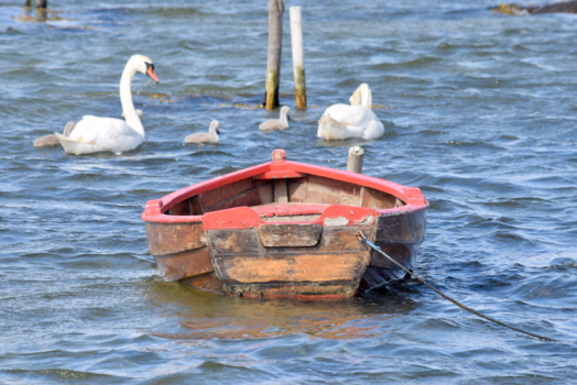 Galápagos eilanden - De boot gemist!