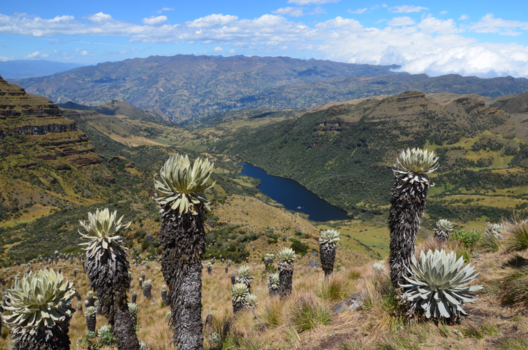 Colombia - Natuurwandeling