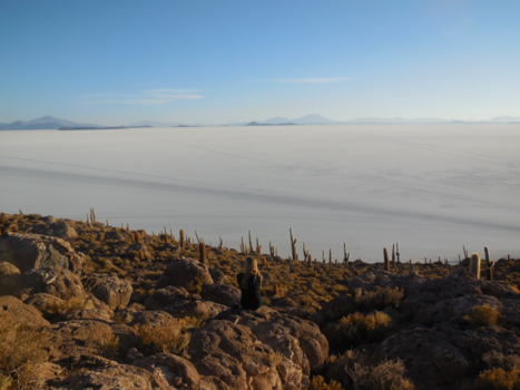 Bolivia - Cactus Eiland