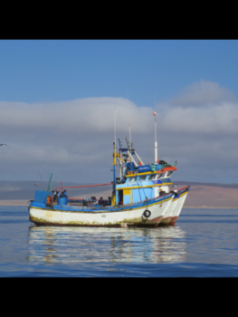 Islas Ballestas - Boats, birds and people