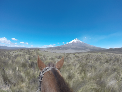 Ecuador - Paardrijden aan de voet van de (actieve) Cotopaxi vulkaan, Ecuador.