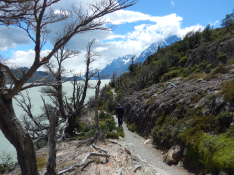 Torres del Paine - Grey Lake, Torres del Paine