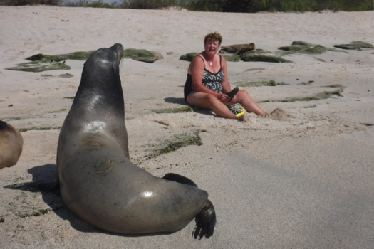 Galápagos eilanden - Onderonsje tussen dames