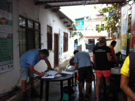 Galápagos eilanden - Vrijwilligers werk in de Darwin Animal Docters clinic