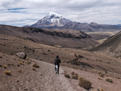 Bolivia - Walking into loneliness (Sajama, Bolivia towards the border of Chile)