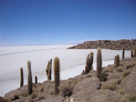 Salar de Uyuni - Salar Uyuni vanaf Inca Wasi