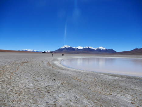 Bolivia - Flamingo’s, zout en zon op 4800 meter hoogte