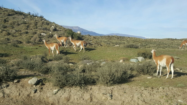 Ushuaia - ongerepte natuur