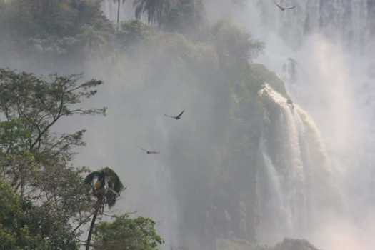 Iguazu Falls - Iguazu falls